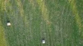 Drone shot top view over rolled corn field hay bales on woodland grass meadow 4k or 4k+ Resolution