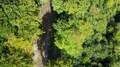 Drone shot top view sunny mountain forest with pathway in autumn 4k 4k or 4k+ Resolution