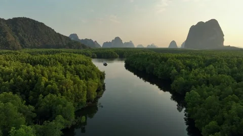 Drone shot tracking a boat on a river in the mangrove forest, Thailand Stock Footage 219928530