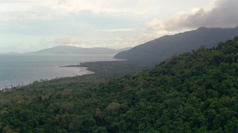 Drone shot tracking of coastline environment Stock Footage 247314020