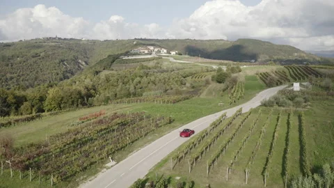 Drone shot tracking red porsche over vine fields in Croatia. Video stock 147245637