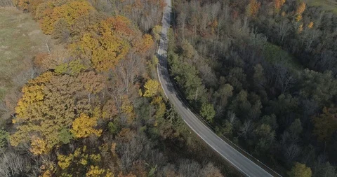Drone shot tracking a White pickup truck on a forest road in the fall. Stock Footage 127515919