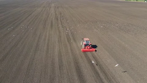 Drone shot of tractor seeding crops on agricultural field Video stock 148173308