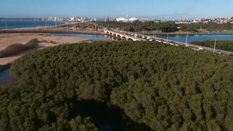 Drone shot of traffic on M4 freeway over the Umgeni River to Durban. Stock Footage 239829064