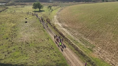 Drone shot of Trail Runners running on a farm druing trail run, race in green Stock Footage 292968464