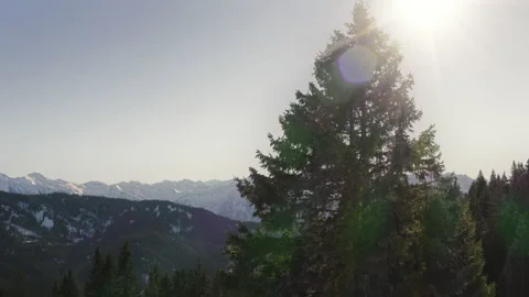 Drone shot with a tree and mountain panorama with snow Stock Footage 167453894