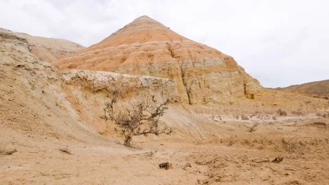 Drone shot of tree in desert mountains Aktau in Kazakhstan Stock Footage 179842713