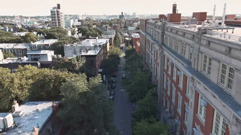 Drone Shot of Tree-Lined Street in Carroll Gardens, Brooklyn Stock Footage 283926828