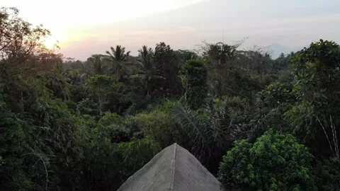 Drone shot of a treehouse during sunset in Bali, Indonesia. Stock Footage 144829086