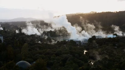 Drone shot of trees and steaming geysers at Te Puia, Rotorua Stock Footage 89807695