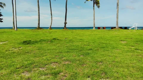 Drone shot of a tropical beach in the Philippines Stock Footage 135301621