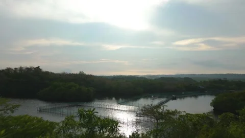 Drone shot of tropical forest Stock Footage 263496493