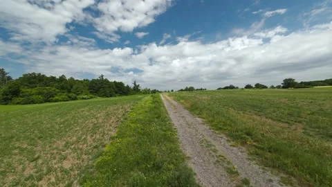Drone shot turning around a dead tree and flying down a dirt road Video stock 341811851