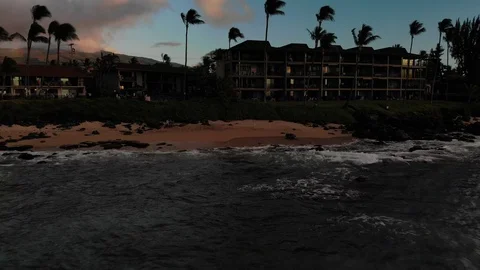 Drone Shot of Turtle Laying on Beach in Maui Stock Footage 123493949