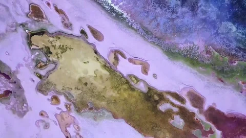 Drone Shot of Unique Patterns in Dry Riverbed on Tibetan Plateau China Stock Footage 339513639