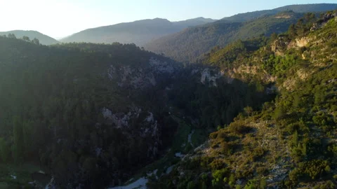 Drone shot of a valley at a green pine forest during sunrise Stock Footage 258324141