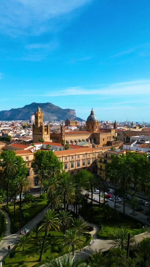 Drone shot in vertical of Palermo Cathedral in Italy 库存影片 314080454