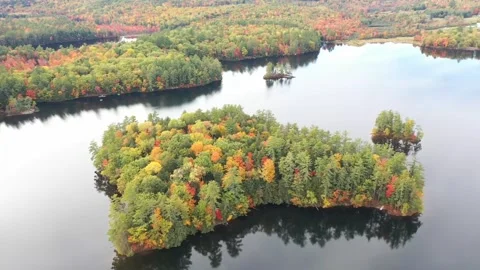 Drone shot view of forest and lake. Video stock 268898386