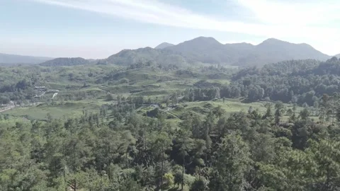 Drone Shot Of view of the tea garden Video stock 280351546