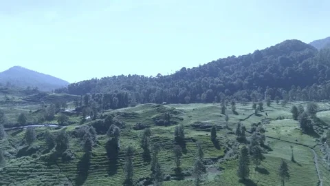 Drone Shot Of view of the tea garden Video stock 280685515