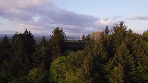 Drone shot of a viewpoint during sunset Stock Footage 194446594