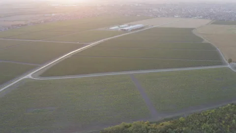 Drone shot of a vineyard plantation intersected by roads Stock Footage 161464805