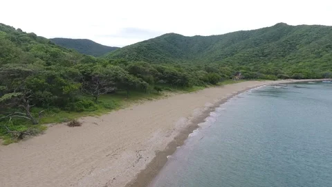 Drone Shot Virgen Beach Video stock 132369548