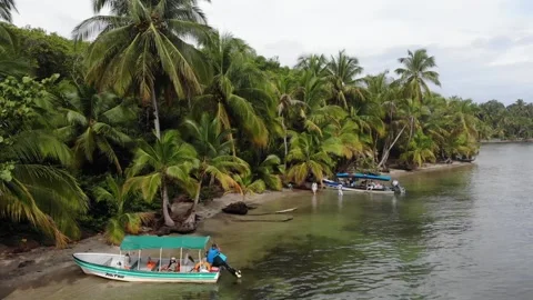 (DRONE shot) WALKING back on STARFISH Beach, BOCAS del Toro, PANAMA Stock Footage 252573749