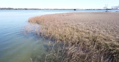 Drone shot of the Wando Port Stock Footage 177157527