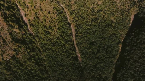 Drone Shot of Water Line Patterns in Acatenango Volcano Cloud Forest Video stock 345096273