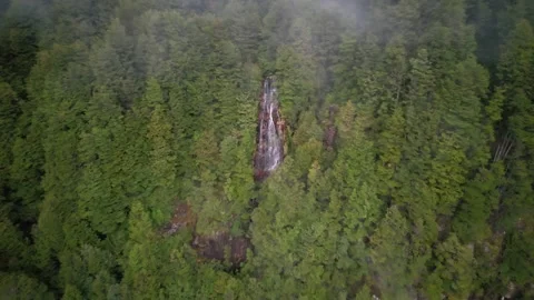 A drone shot of a waterfall in a dense forest Stock-Footage 332032438