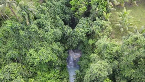 Drone shot - Waterfall from the top , drone going closer and closer Stock Footage 301602455