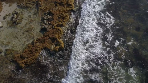 Drone Shot of Waves and Sand in Mexico Stock Footage 230924782