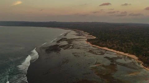 Drone shot of waves breaking along G-land Grajagan Bay beach Java coastline Stock Footage 317171069