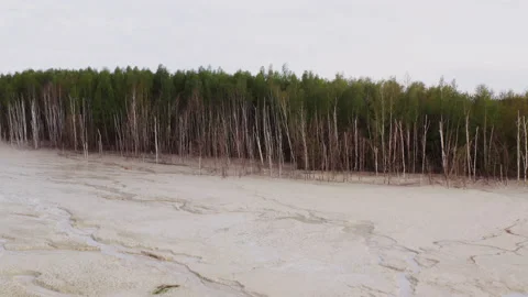 Drone shot of a white desert by the forest. Stock Footage 149113180