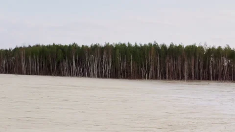 Drone shot of a white desert by the forest. Stock Footage 149113283