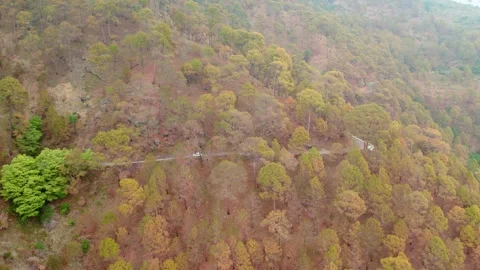 Drone Shot of Winding Mountain Road Surrounded by Orange Trees | Rural Landscape Vidéo 335217857