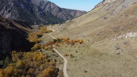 Drone shot of winding mountain road in golden autumn peak in Kazakhstan Vídeo Stock 337427607