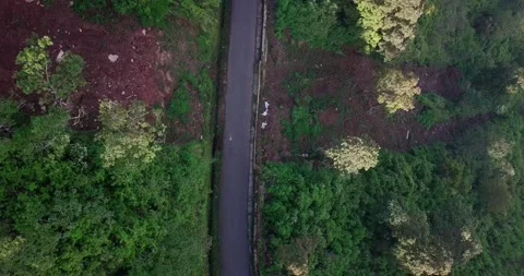 Drone shot of Winding road in the middle of forest Stock Footage 165073001