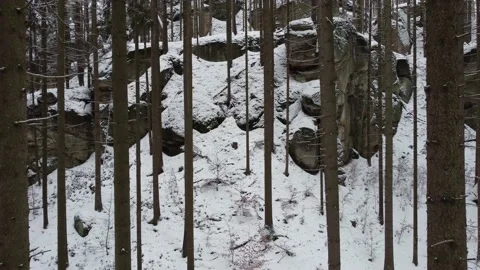 Drone shot of a winter forest Stock Footage 148051172