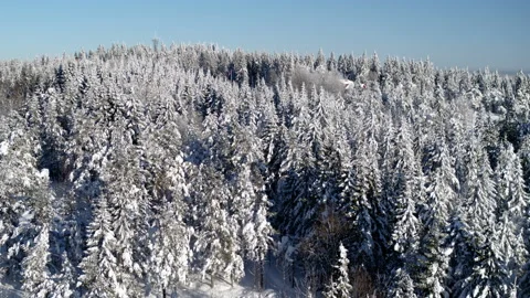 Drone shot of the winter forest at Holmenkollen Oslo, Norway, in Stock Footage 86549843