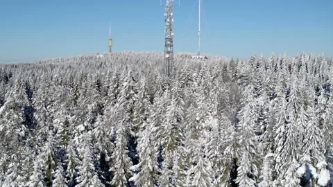 Drone shot of the winter forest at Holmenkollen Oslo, Norway, up Stock Footage 86550023