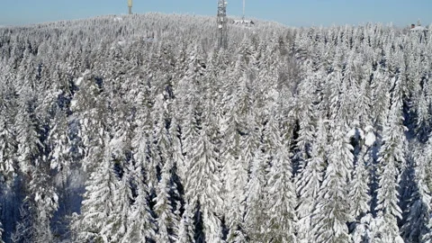 Drone shot of the winter forest at Holmenkollen Oslo, Norway, back Stock Footage 86550153