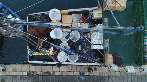 Drone shot of workers unloading fish from trawler in port Croatia Europe Stock Footage 85411247