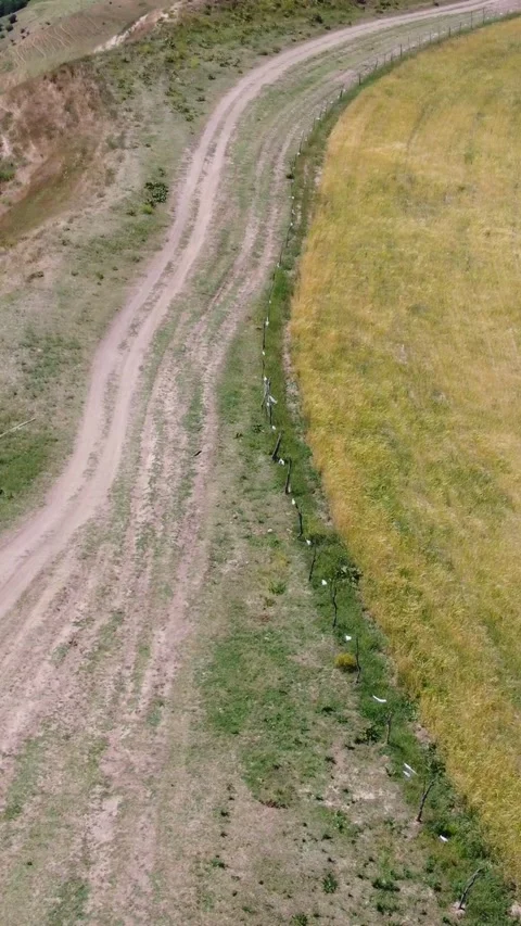 Drone shot of yellow wheat field margin and curved dirt road in Kazakhstan Видео 338128172