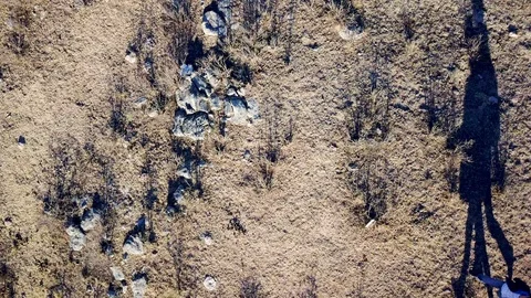 Drone shot of young couple walking in diagonal on desert Stock Footage 88713438