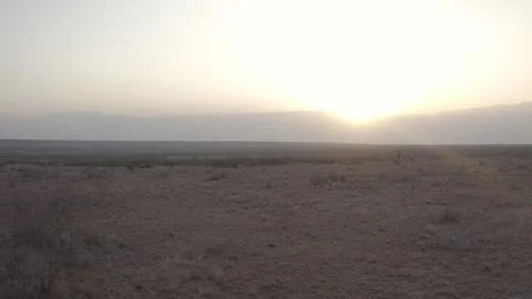 Drone shot of zebra grazing with sunsetting in the back ground, Kenya Stock Footage 316359071