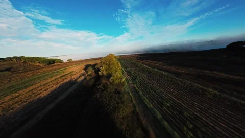 Drone shot zooms fast over plowed land, golden brush, and foggy hills Video stock 340904101
