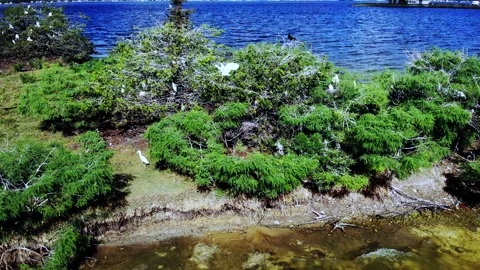 Drone Shots of Beach Stock Footage 240331550
