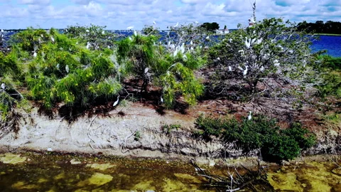 Drone Shots of Beach Stock Footage 240332659